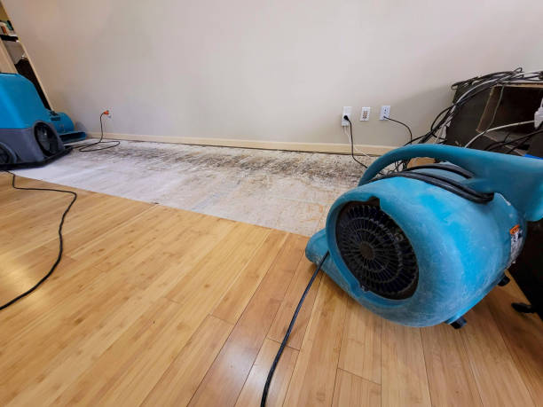 Professional Water Extraction technician working in Rockport, MA